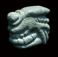 Mayan Fly Devouring Fly