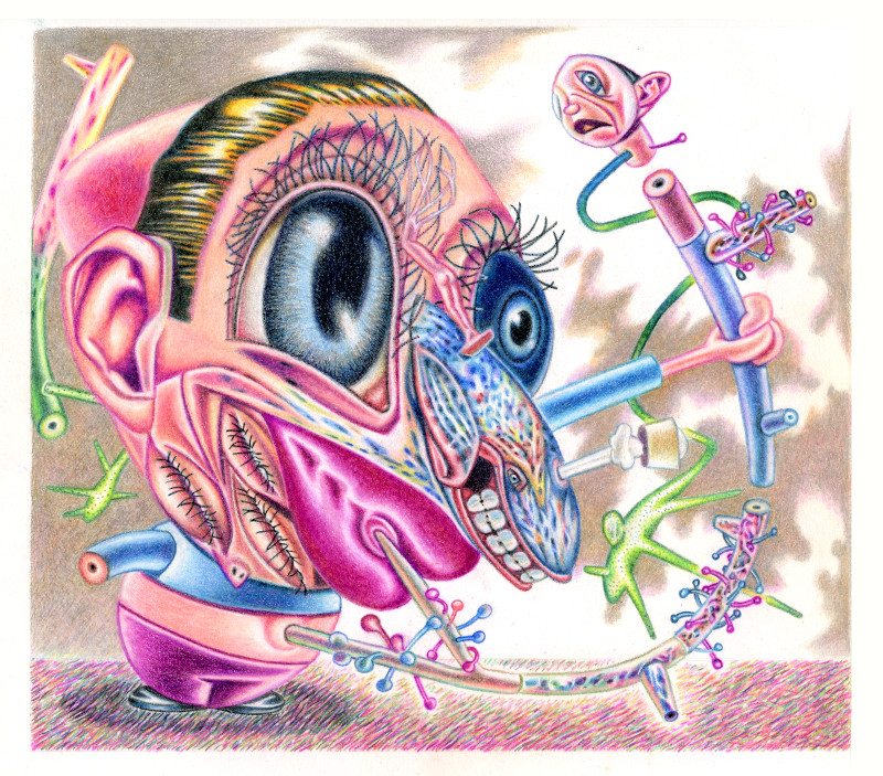 Wielded Morbidity (9" x 10" color pencil on paper)